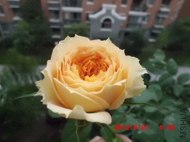 CIMG1733.JPG