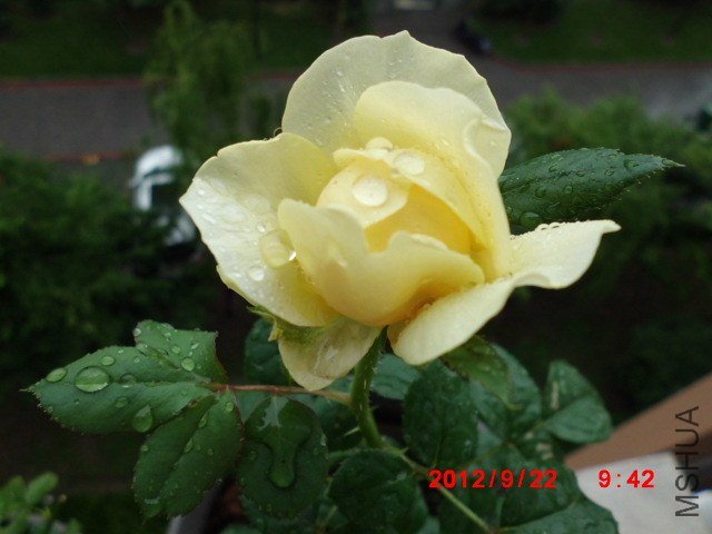 CIMG1744.JPG
