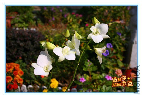 ��Ƭ 012_����.jpg