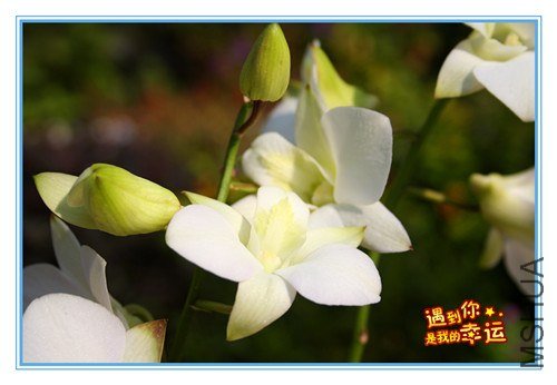 ��Ƭ 014_����.jpg