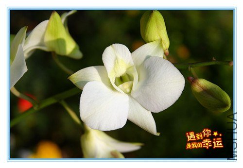 ��Ƭ 017_����.jpg