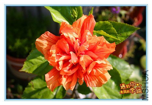 ��Ƭ 030_����.jpg