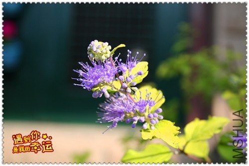 ��Ƭ 033_����.jpg