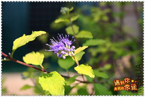 ��Ƭ 035_����.jpg