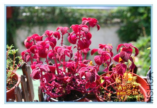 ��Ƭ 072_����.jpg