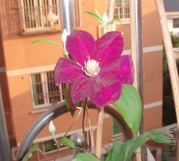 �������� ʵ��.jpg