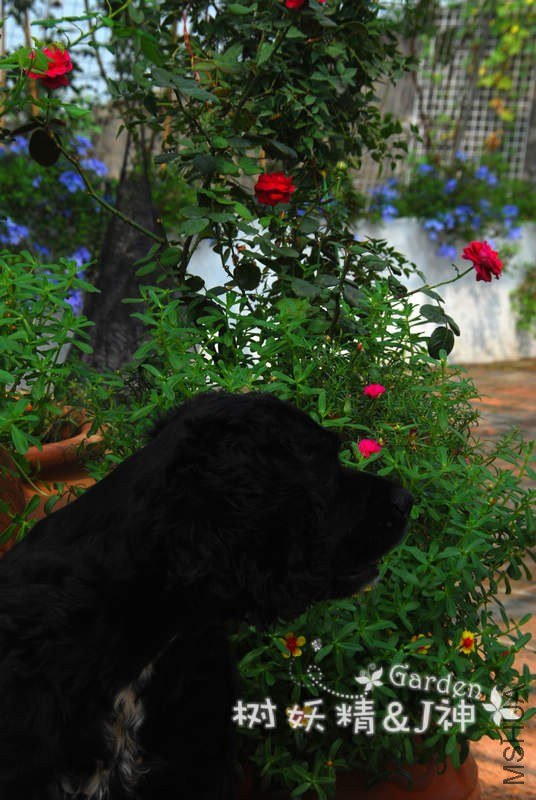 DSC_0014.JPG