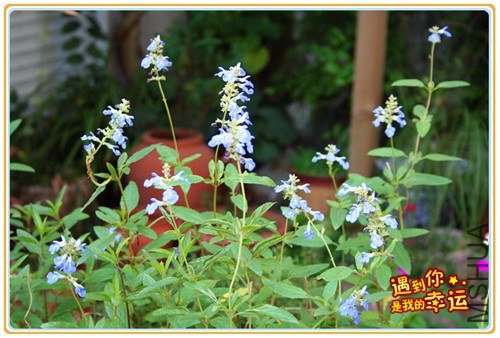 ��Ƭ 022_����.jpg