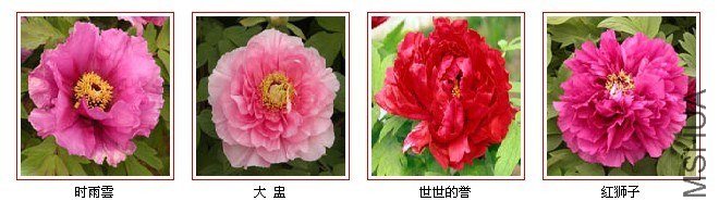 9fc48663f0ea4cb214cecb14.jpg