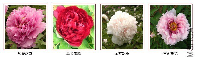 14ab321dbcc6077ecefca3f5.jpg