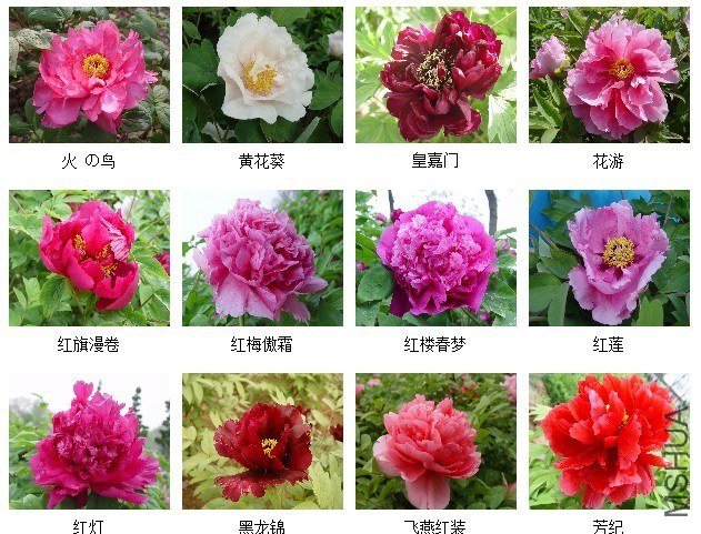 dcc451da81cb39db0ded4dffd0160924ab18306d.jpg