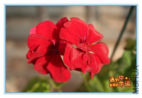 ��Ƭ 009_����.jpg