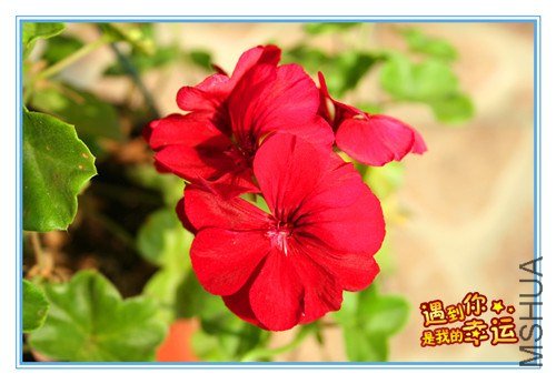 ��Ƭ 007_����.jpg