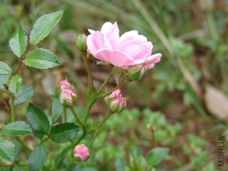 DSC00091.JPG