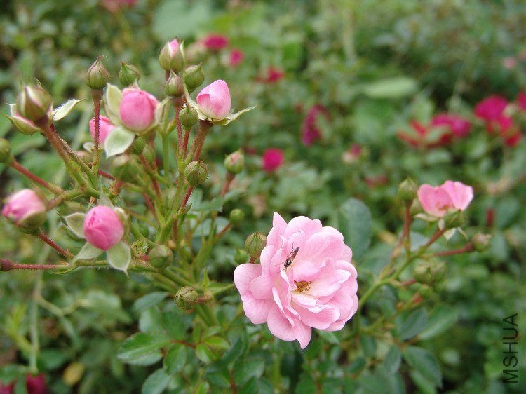 DSC00092.JPG
