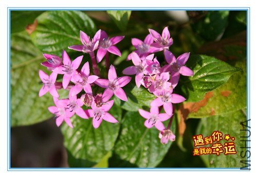 ��Ƭ 055_����.jpg