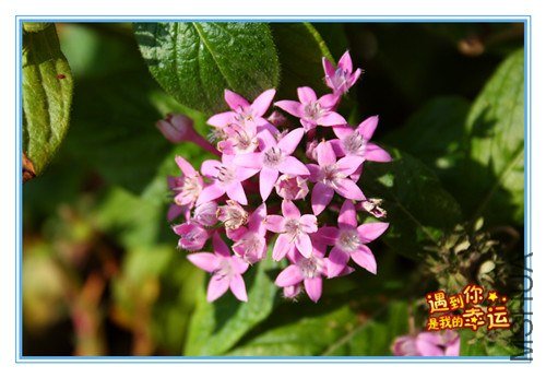 ��Ƭ 057_����.jpg