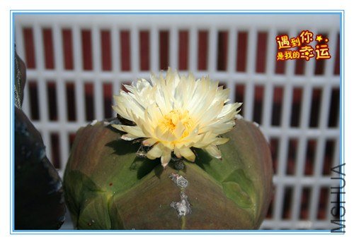 ��Ƭ 088_����.jpg