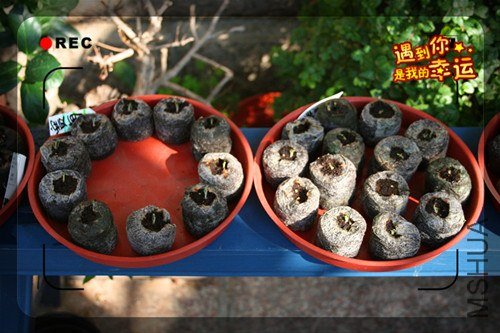 ��Ƭ 034_����.jpg