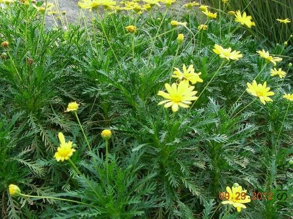 ������С DSCN9598.JPG