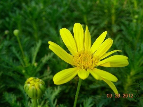 ������С DSCN9603.JPG