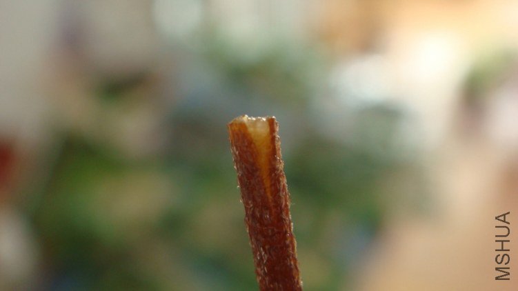 DSC00910.jpg