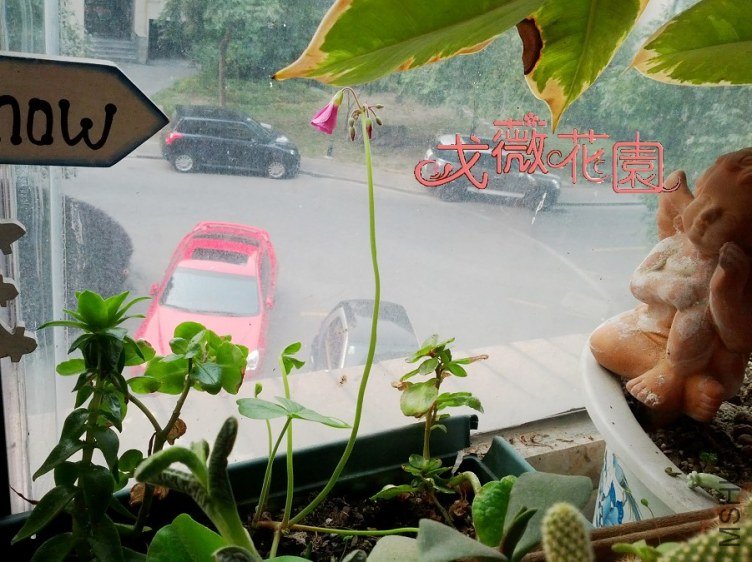 �������϶��������Ĵ��~