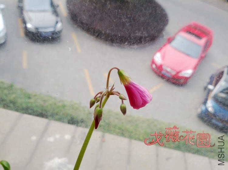 �����ˣ�