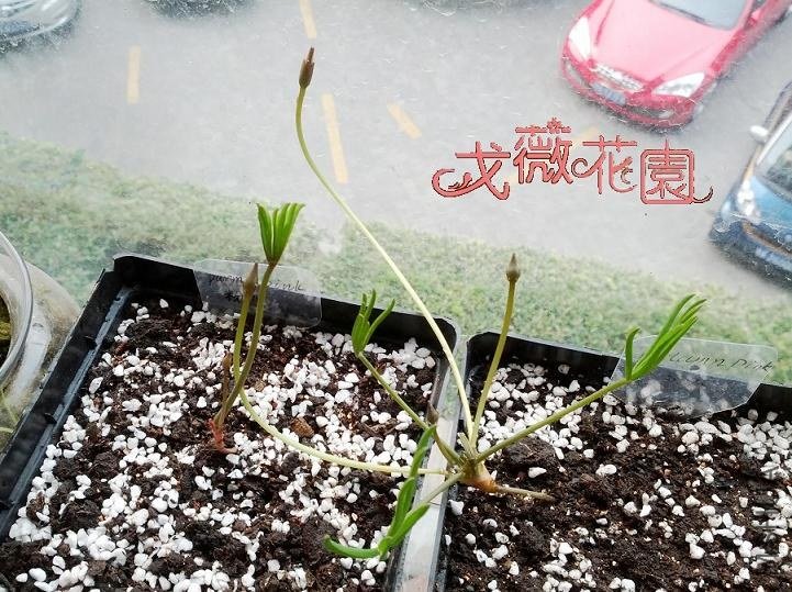 һ���Ƿ�צ��һ�������~�������Ĳ�࣡