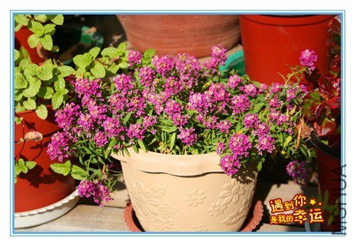 ��Ƭ 042_����.jpg