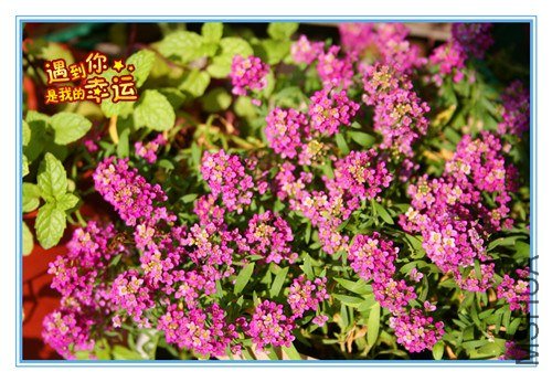 ��Ƭ 044_����.jpg