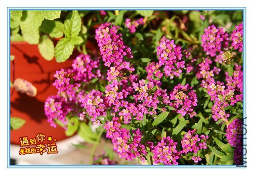 ��Ƭ 047_����.jpg