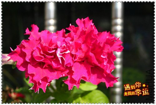 ��Ƭ 037_����.jpg