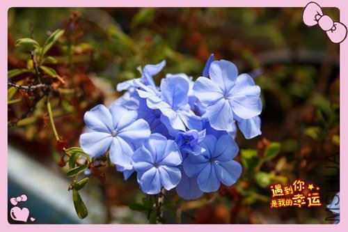 ��Ƭ 081_����.jpg