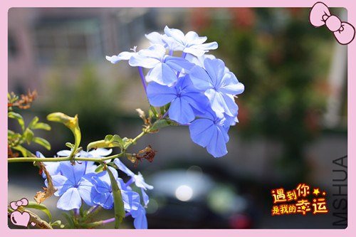 ��Ƭ 082_����.jpg