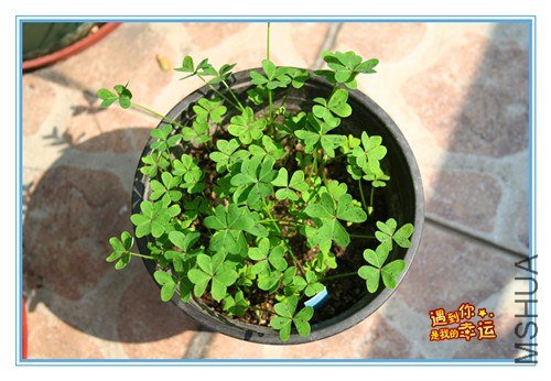 ��Ƭ 097_����.jpg