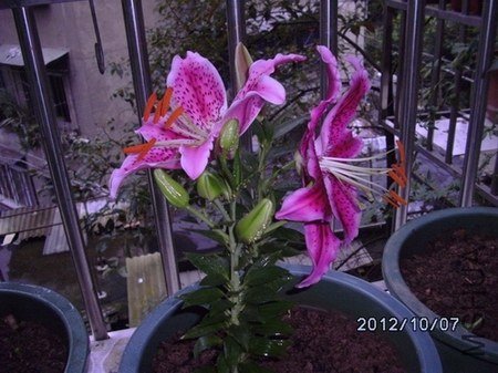 DSCK0193.JPG
