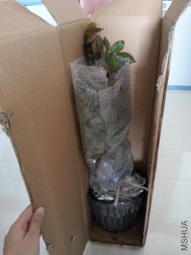 20121010_155214.jpg