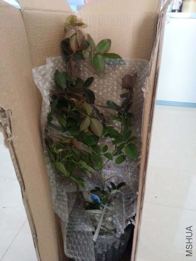 20121010_155340.jpg