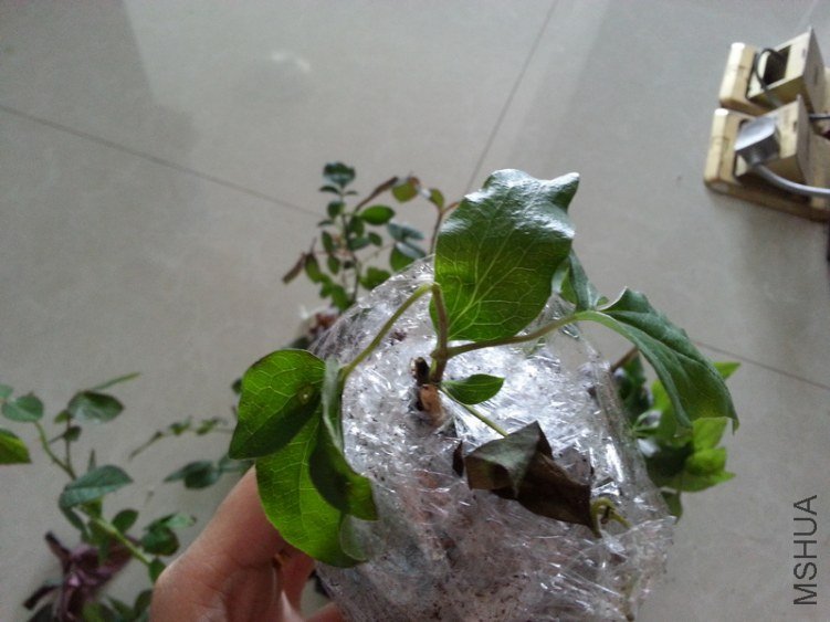 20121010_154205.jpg