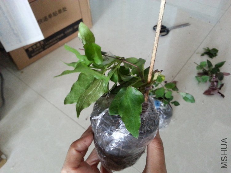 20121010_154534.jpg