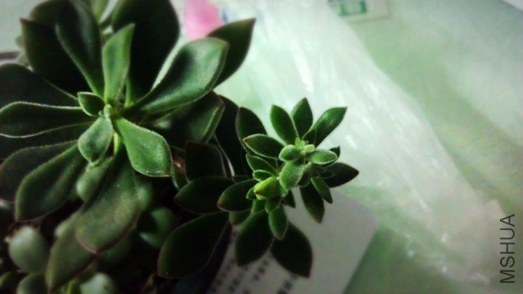 IMAG0333.jpg