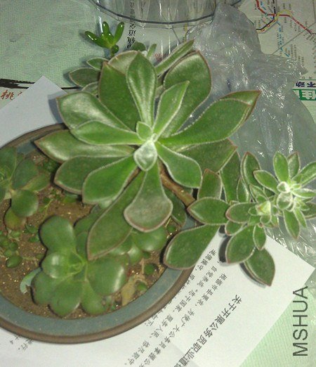 IMAG0331.jpg