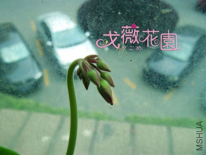 ��������������⴮���ÿ���