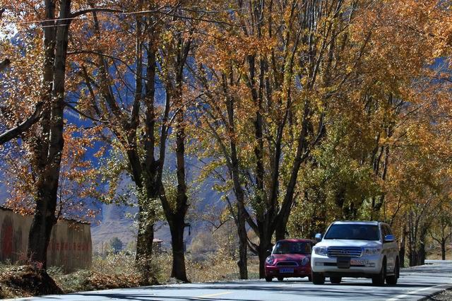 �����¶�����ɫ (11).jpg