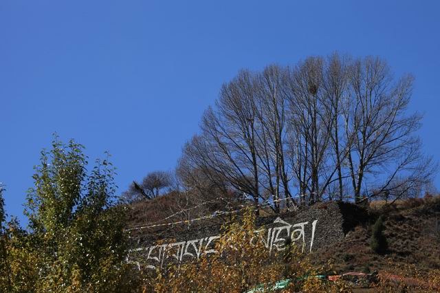 �����¶�����ɫ (13).jpg