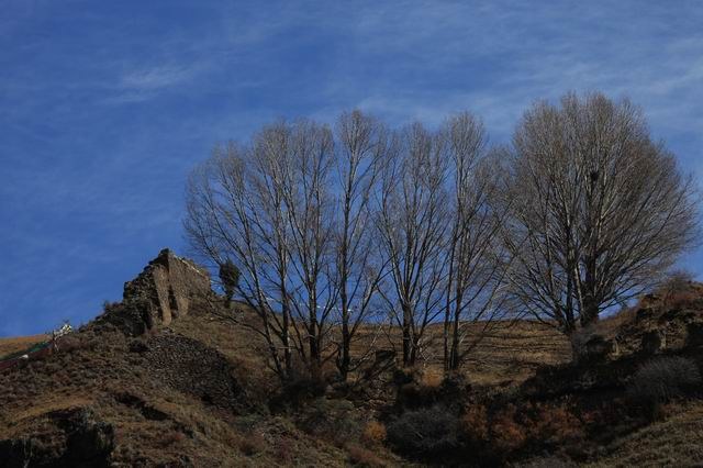 �����¶�����ɫ (14).jpg