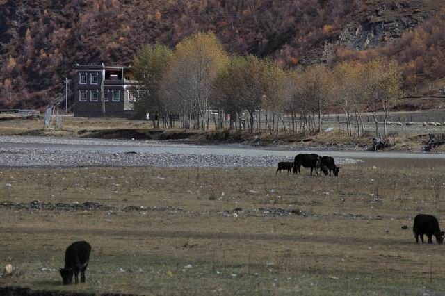 �����¶�����ɫ (18).jpg