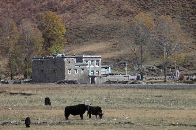 �����¶�����ɫ (19).jpg