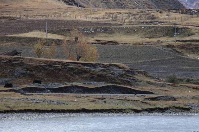 �����¶�����ɫ (20).jpg